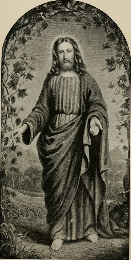 d9zrvngtip979vahmg.jpg