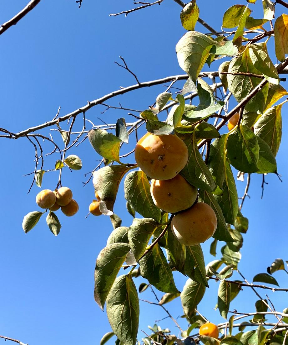 图：基督时报