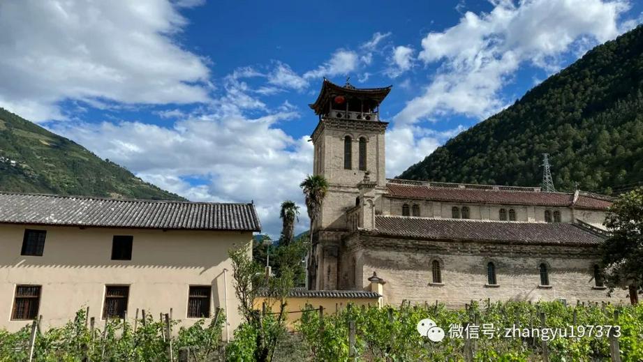 茨中天主教堂后院的葡萄园