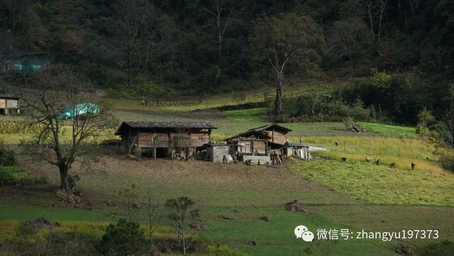 丙中洛雾里村