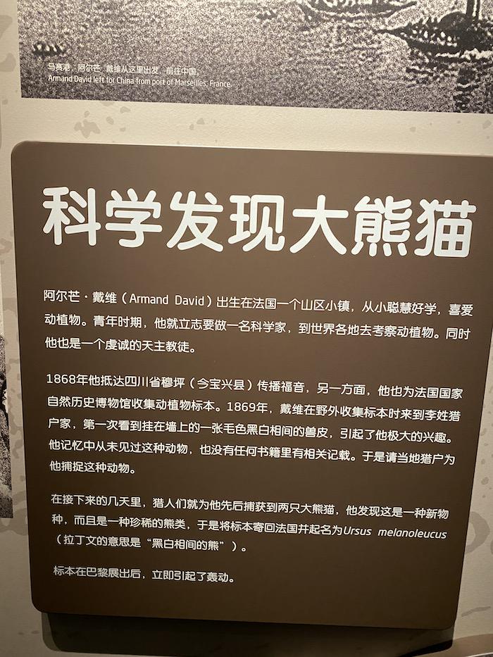 图：CT摄影