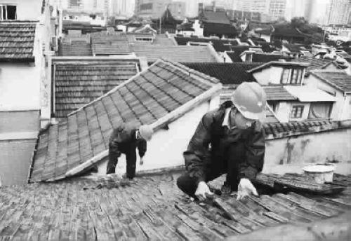 维修人员乘雨停间隙，冒着酷暑在梦花街居民老房的屋顶上“筑漏”（图：新民晚报）